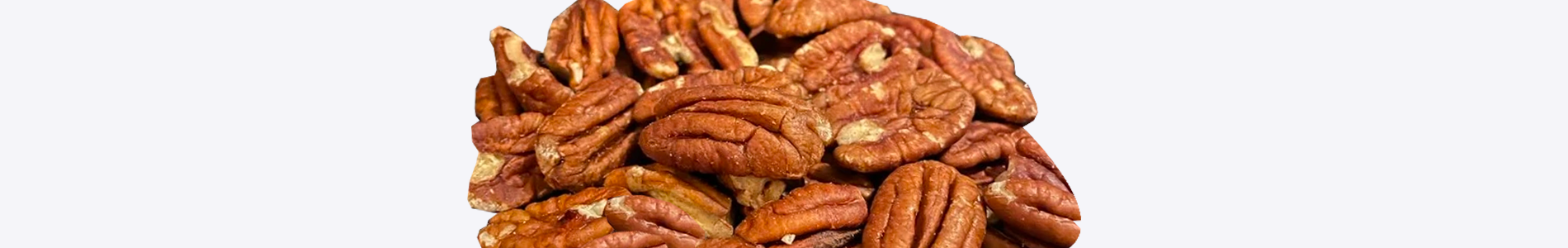 Noten - Aquarif Parrots