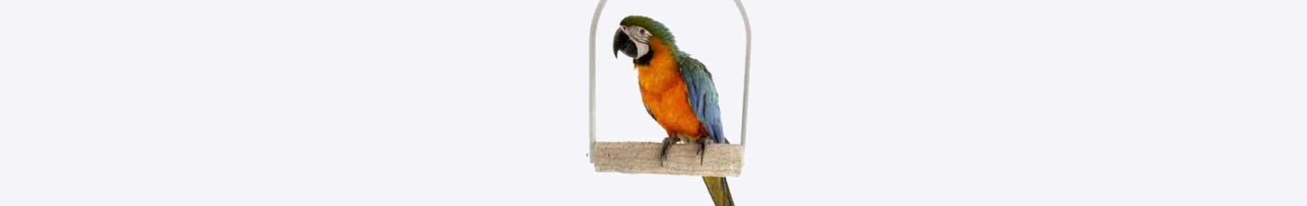 Slijtstokken - Aquarif Parrots