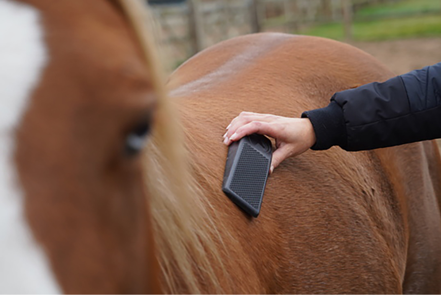 Paard - Huid, haar en manen