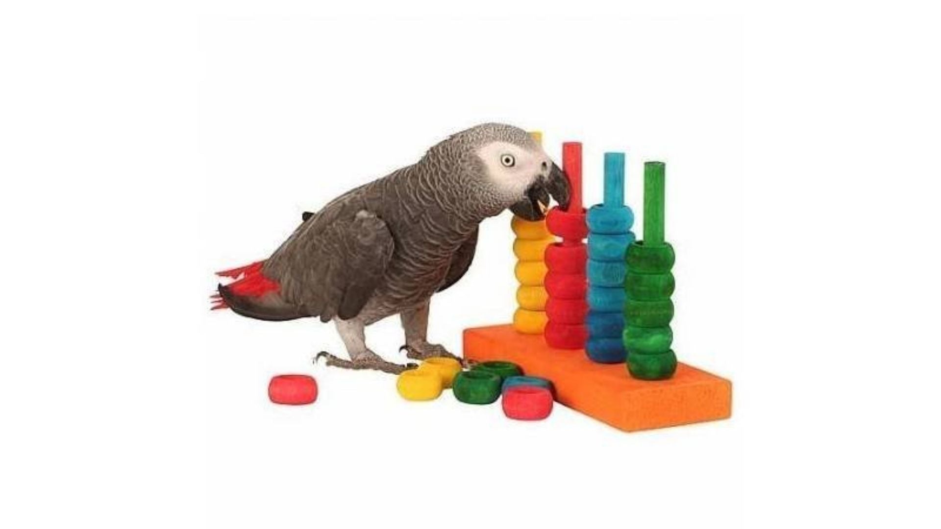 Speelgoed - Aquarif Parrots