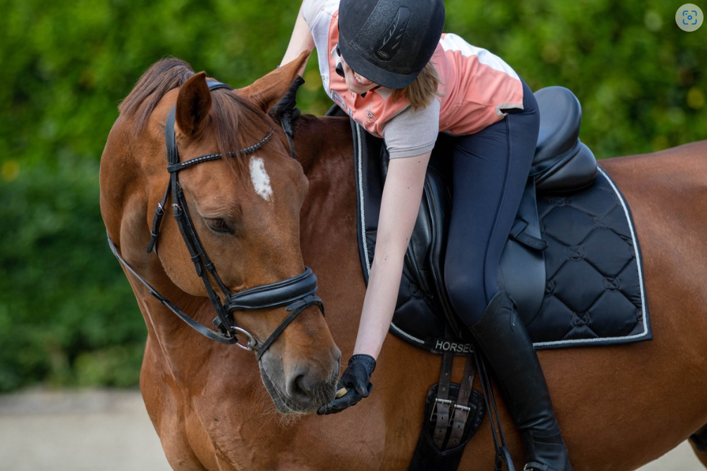 Paard - Spelen en belonen