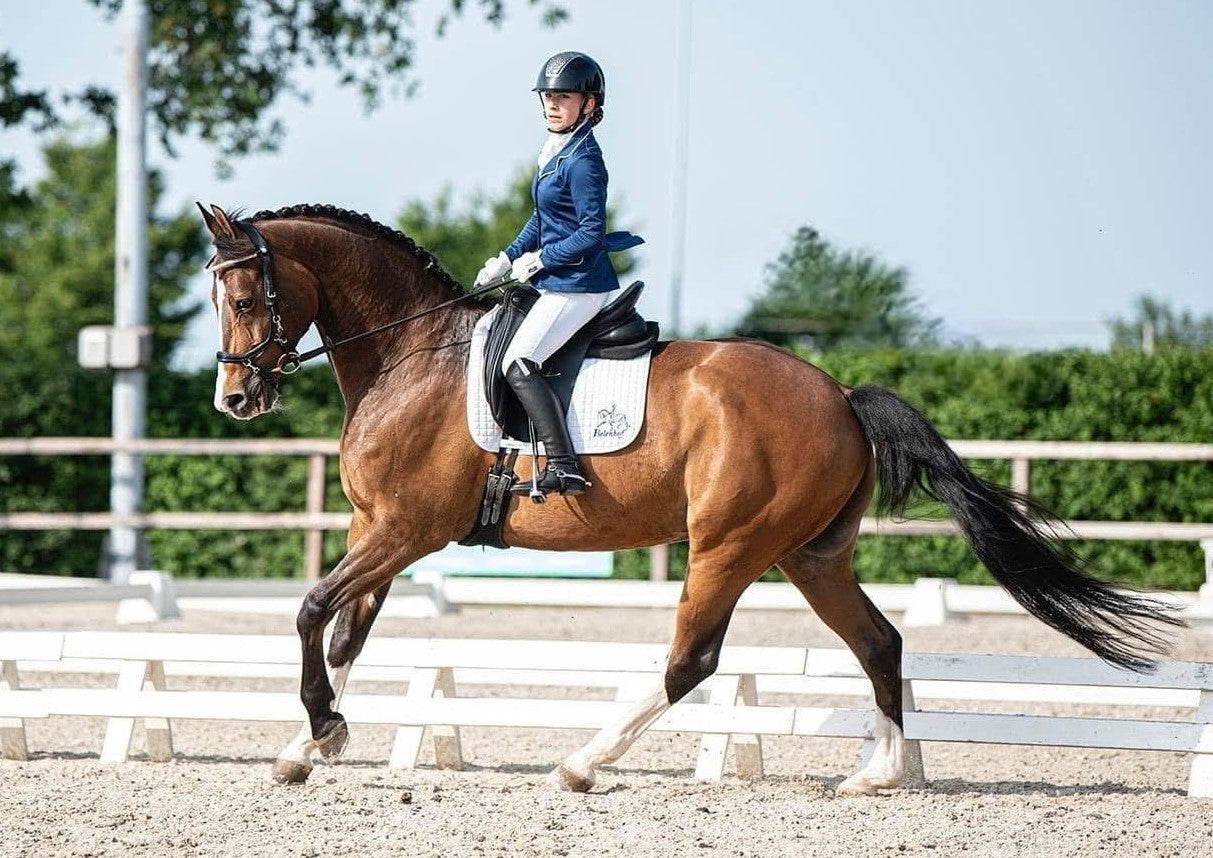 Paard - Voor de ruiter