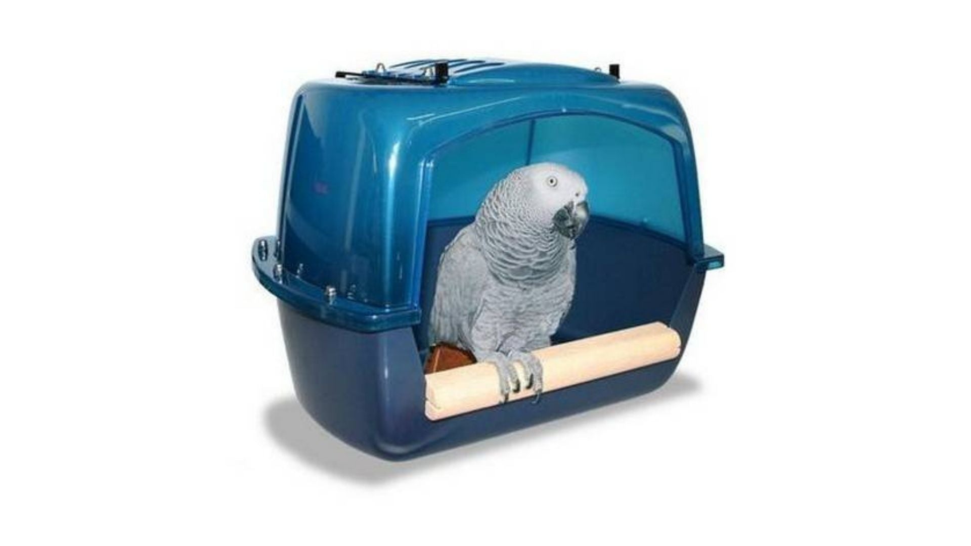 Douchen en badderen - Aquarif Parrots