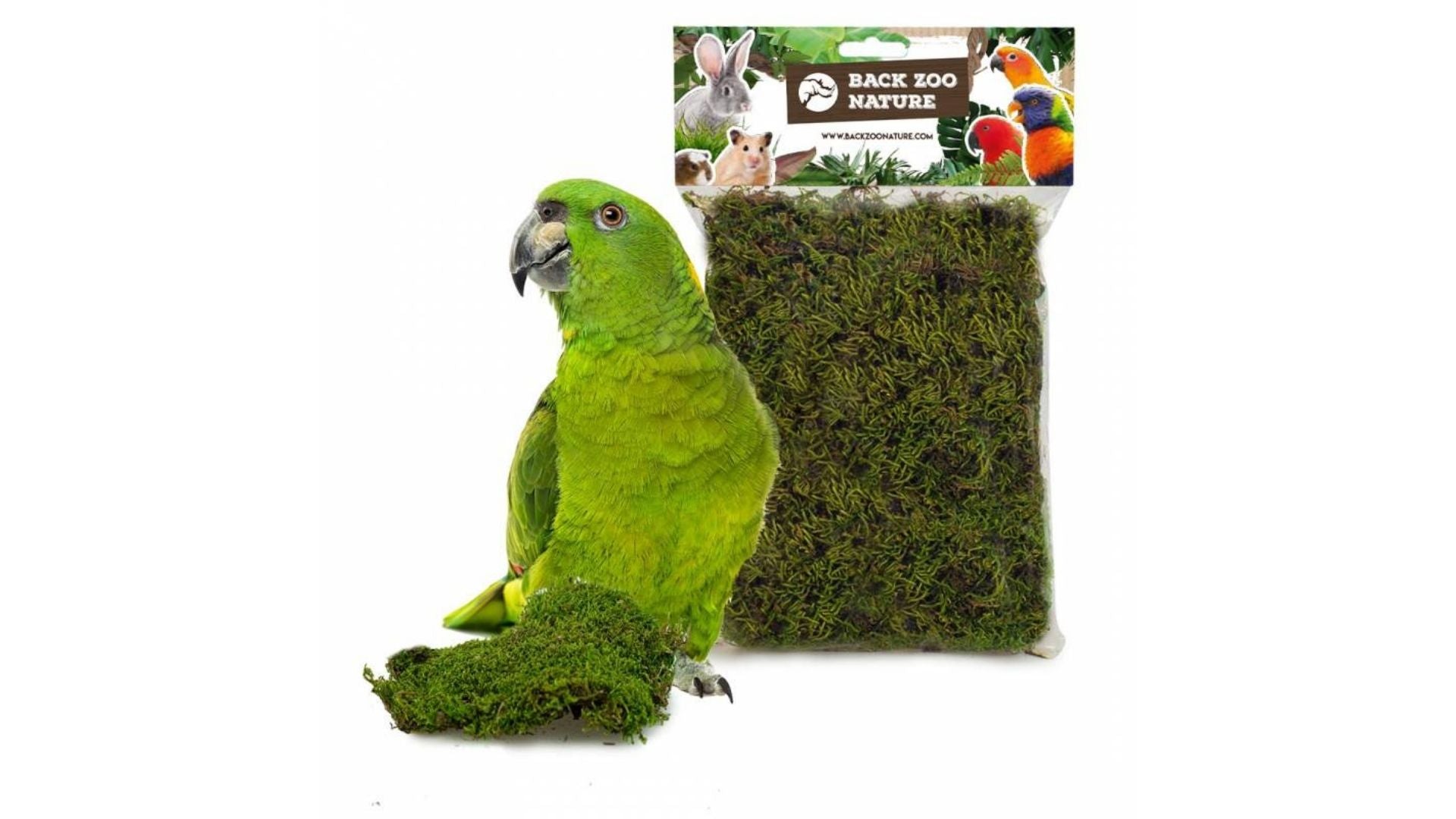 Inrichting - Aquarif Parrots