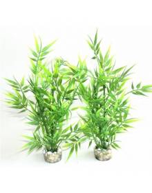 Vissen - Inrichting aquarium