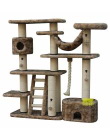 Kat - Krabben & klimmen