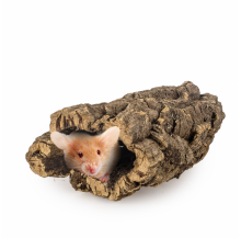 Knaagdieren - Speelgoed