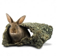 Knaagdieren - Kooi inrichting