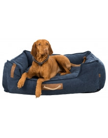 Hond - Mand & Kussens