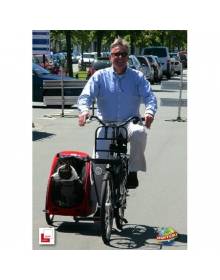 Hond - Transport