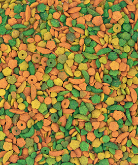 NUTRIBIRD P15 TROPICAL 1 KG