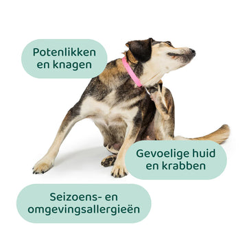 DogSuppy Anti Jeuk Probiotica Forte Rund - 0