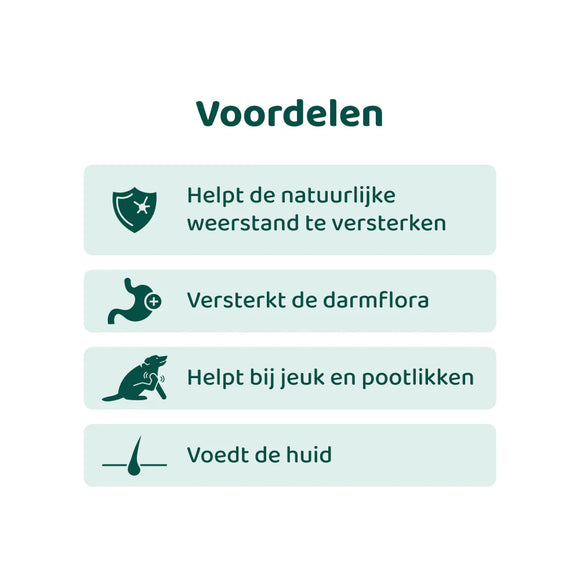 DogSuppy Anti Jeuk Probiotica Forte Rund