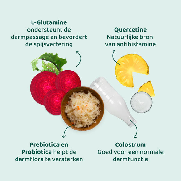 DogSuppy Anti Jeuk Probiotica Forte Rund