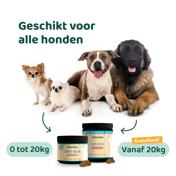 DogSuppy Anti Jeuk Probiotica Forte Rund