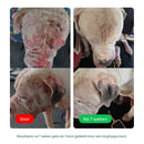 DogSuppy Anti Jeuk Probiotica Forte Rund-9