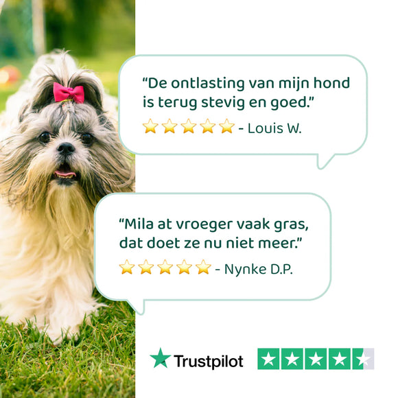 DogSuppy Probiotica Forte