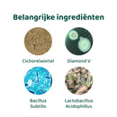 DogSuppy Probiotica Forte-8