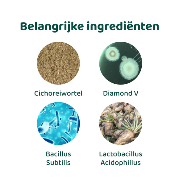 DogSuppy Probiotica Forte