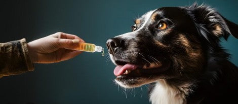 Supplementen & Vitamines