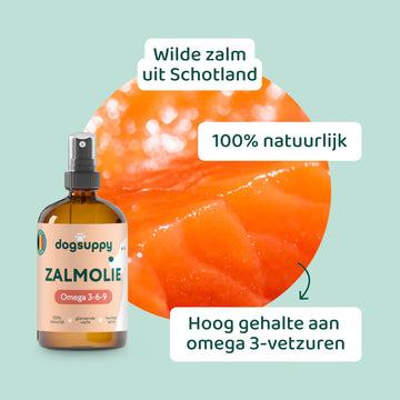 DogSuppy Zalmolie - 0