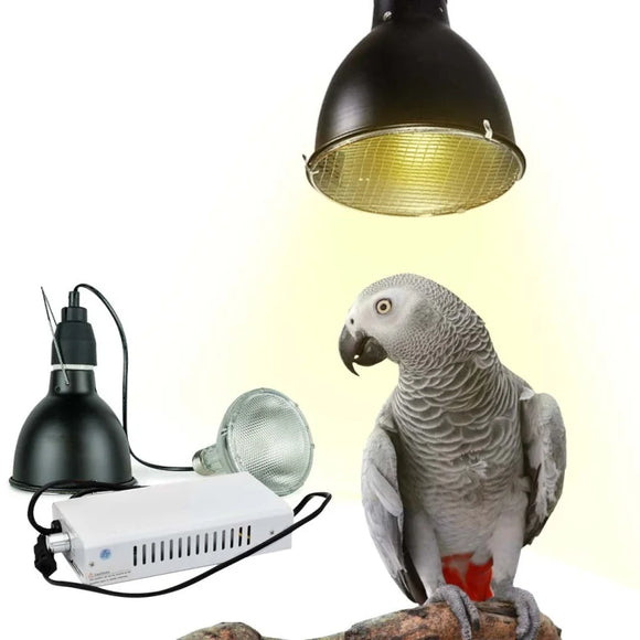 Back Zoo Nature Bird Sun UV-Lamp System + 70W Lamp SET
