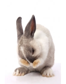 Gezondheid & verzorging