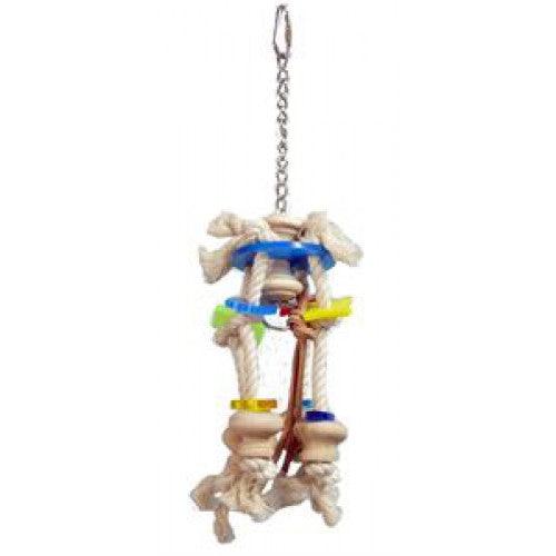 Clip-Clop - Aquarif Parrots