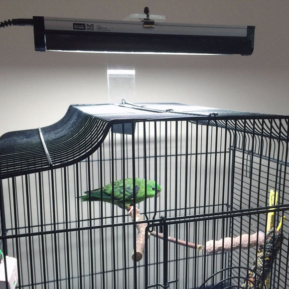 Lamp Uv papagaaien