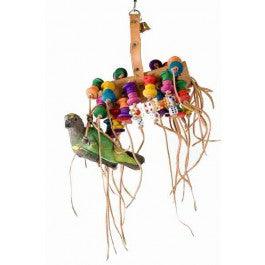 Big Jellyfish - Aquarif Parrots