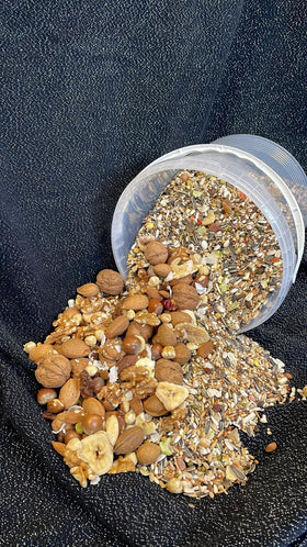 Ara speciaal - Aquarif Parrots