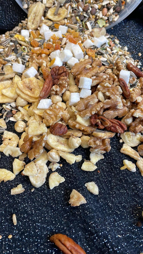 Kaketoe speciaal - 0