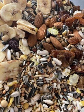 Amazone speciaal - Aquarif Parrots