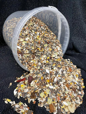 Amazone speciaal - Aquarif Parrots