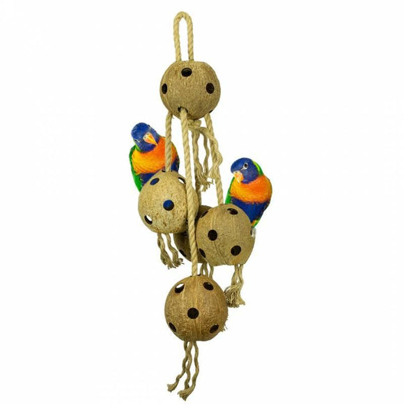 Back Zoo Nature Coconut Chain XL - Aquarif Parrots