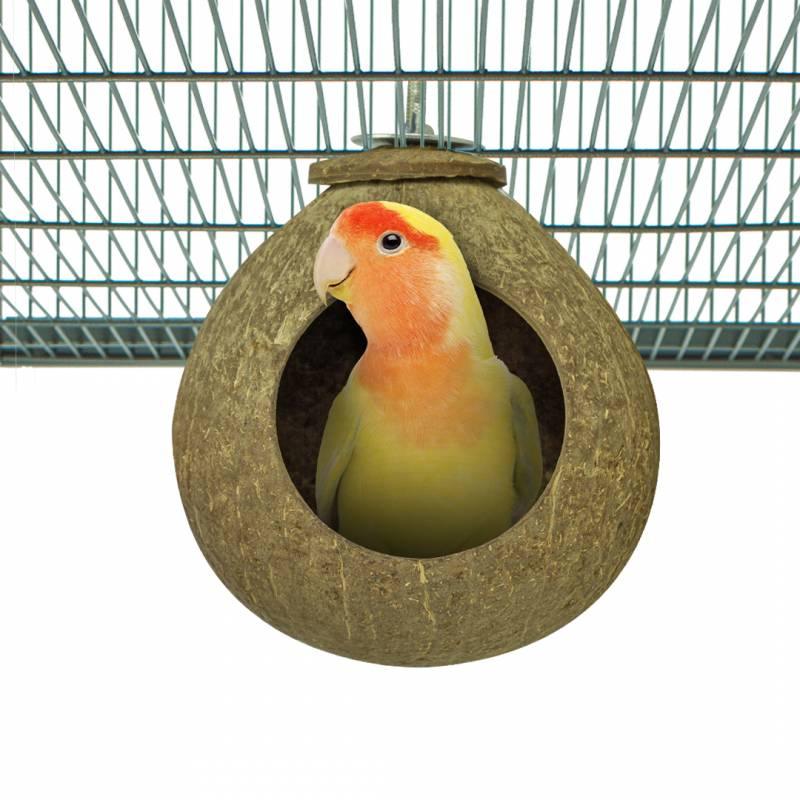 Back Zoo Nature Coconut house - Aquarif Parrots