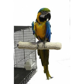 Back Zoo Nature SuperStone Ara 35 cm - Aquarif Parrots