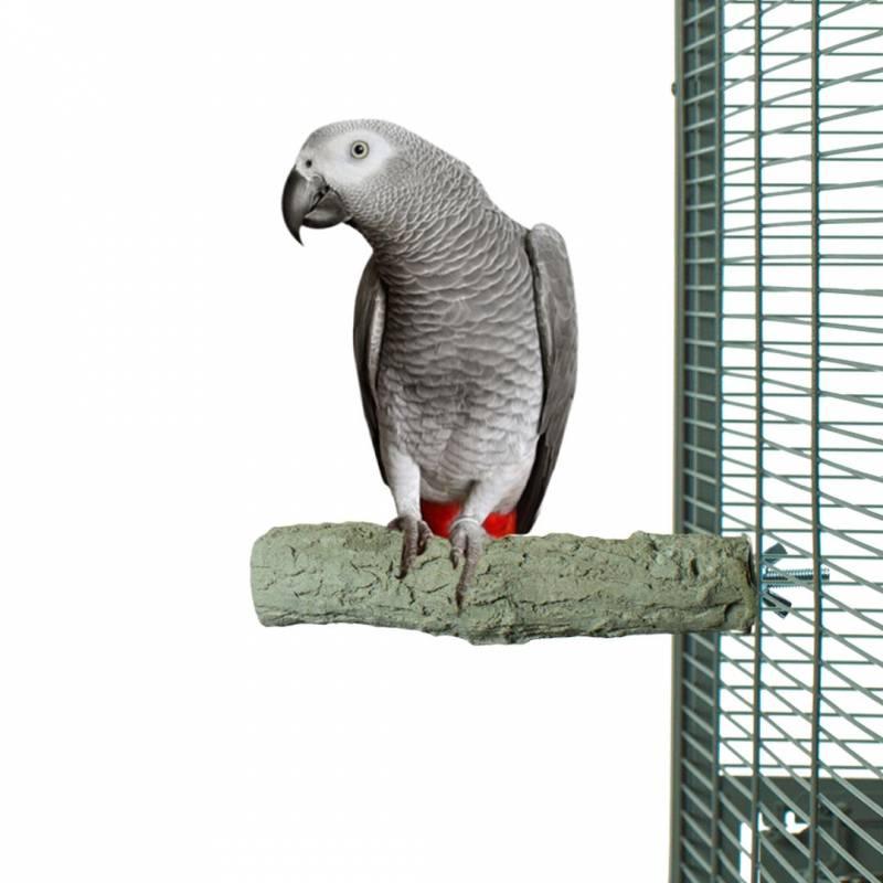 Back Zoo Nature SuperStone Papegaai 25 cm - Aquarif Parrots