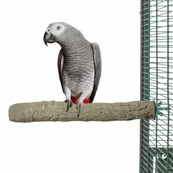 Back Zoo Nature SuperStone Papegaai 35 cm - Aquarif Parrots