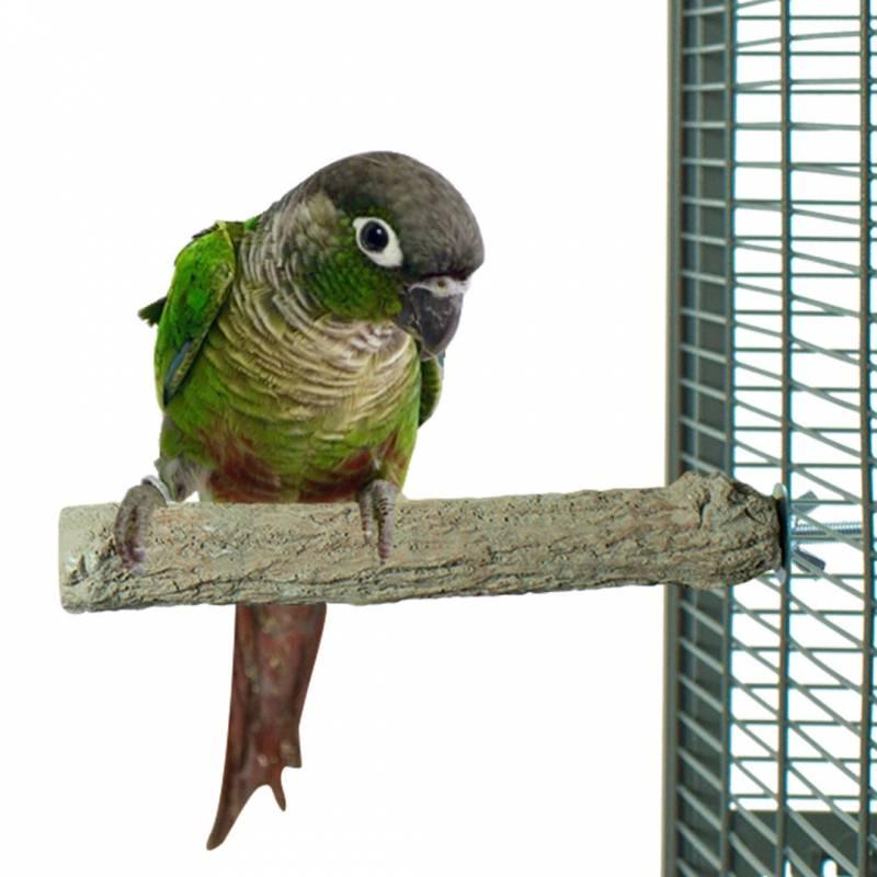 Back Zoo Nature SuperStone Parkiet 15cm - Aquarif Parrots
