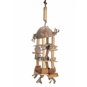 Bamboo Beach - Aquarif Parrots