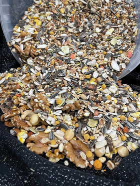 Grijze roodstaart speciaal