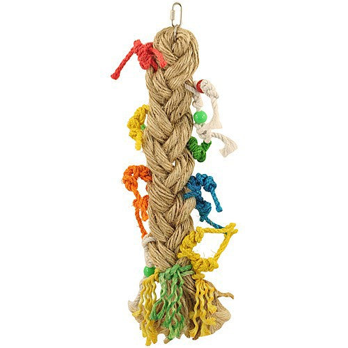 AVI533 - Preening Paradise L