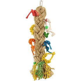 AVI533 - Preening Paradise L